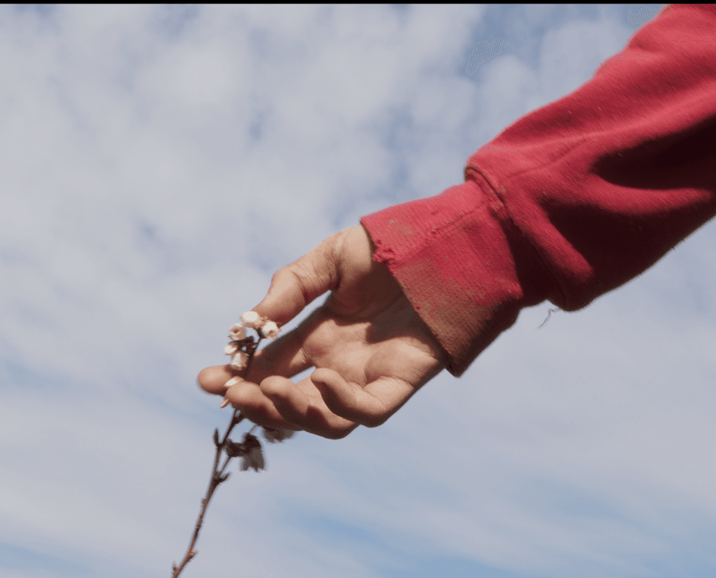 WRAPPED - Film Screening