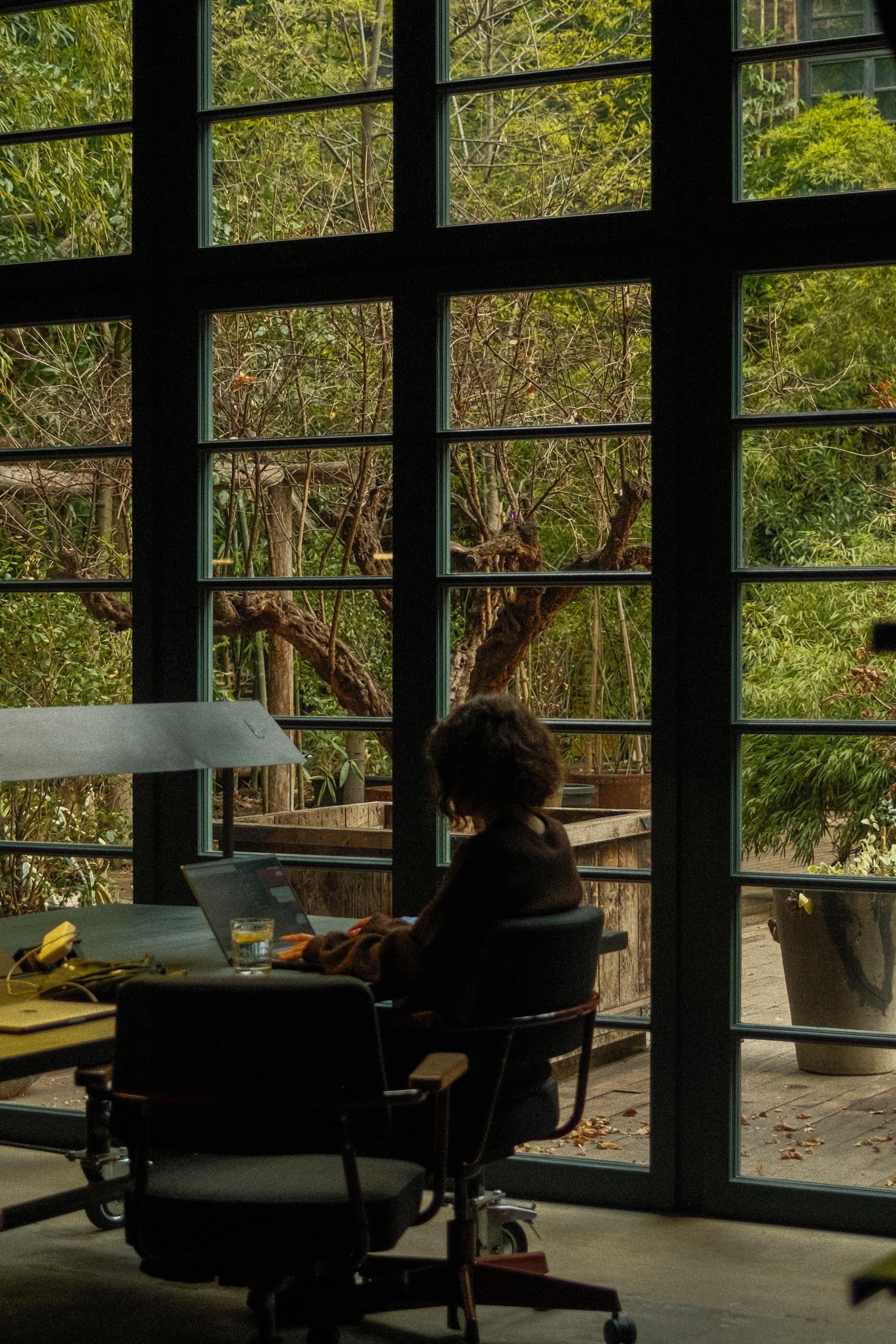 Visa Expert: 30% Discount for D Block Members